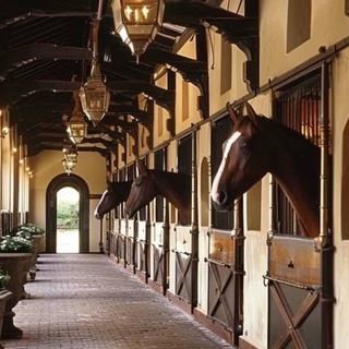 Канал   Конюшня мечты🏆