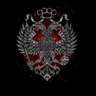 Канал   ДоZор_НоVороссии