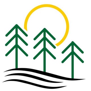 Канал   Сосновый дворик