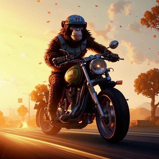 Канал   Мoto|Monkey 🐒
