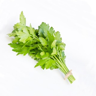 Канал   Всё о пользе зелени