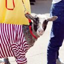 Канал Будни московского барана