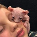 Канал сохры