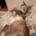 Канал Краткость - сестра не моего таланта