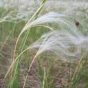 Канал Белгородчина