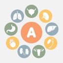 Канал Анатомичка