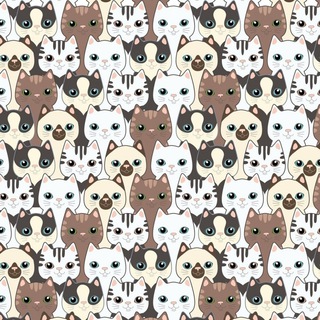 Канал   Самые Смешные и Забавные Животные