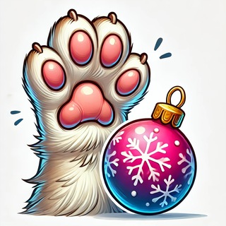 Канал   Недовольный кот