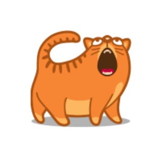 Канал   КОТЭ 🐱