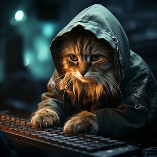 Канал   Вечерняя Кототека