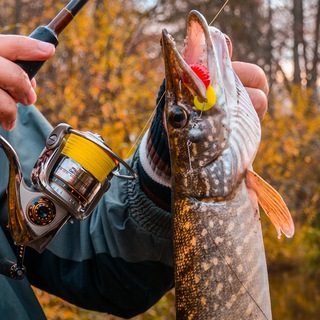 Канал   Рыбалка и Походы