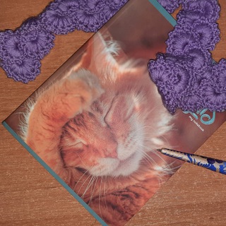 Канал   Осенний кот - помощник студентов и школьников