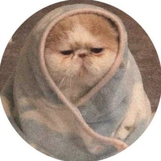 Канал   Tripl | темы и языки 🤍