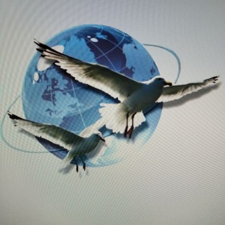 Канал   Всероссийский Фестиваль НЛП