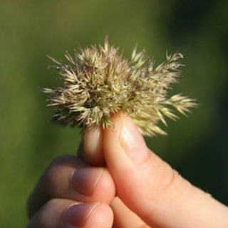 Канал   #Агрорынок 🌱 #зерно 🌾 #овощи 🥕 #фрукты 🥝 #сельхозпродукция 🚜