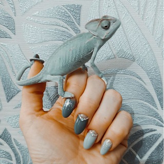 Канал   EXOVIKA Домашний онлайн - зоопарк экзотических животных и другие интересности