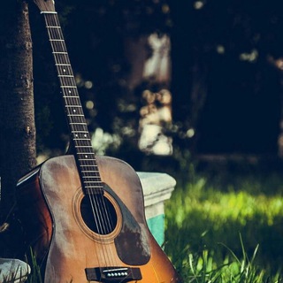 Канал   На кухне у Лето