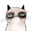 Канал ❤️ Забавные животные 