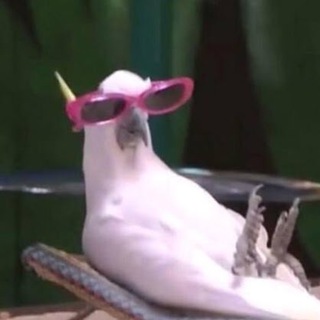 Канал   Клуб Чертил