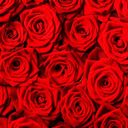 Канал ОБОИ HD