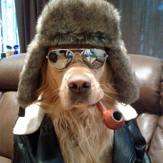 Канал   Смехляндия