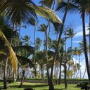 Канал Remote IT (Inflow)