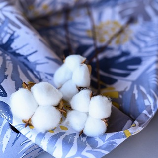 Канал   Adelia Bonar. 