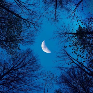 Канал   Луна Лейн | В омуте боли