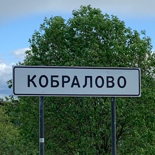 Канал   Кобралово - чат жителей