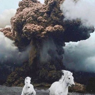 Канал   Скакун новостей | 📰