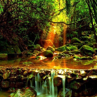 Канал   В ладу с собой.