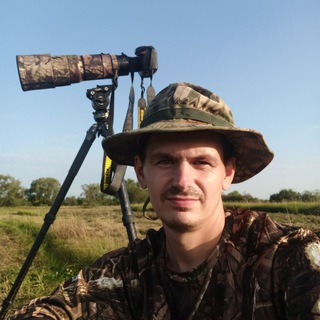 Канал   Pavel Nyrikov 'В поисках красивого кадра'