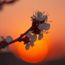 Канал Дневник фотографа