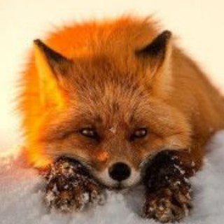 Канал   О,этот дивный и прекрасный мир...