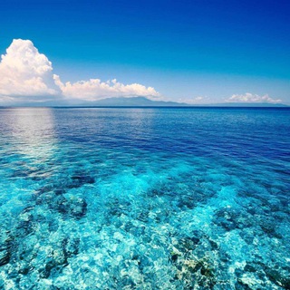 Канал   Море интереса🦑