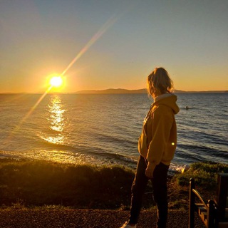 Канал   Панина. LIVE