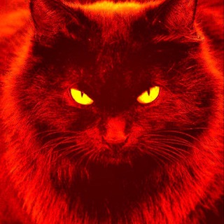 Канал   Белогорск-стёб.