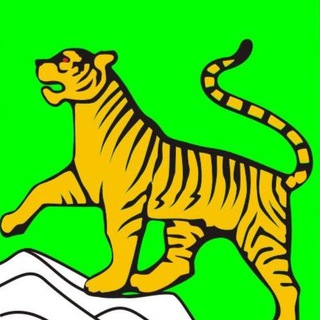 Канал   Новости Владивостока и не только