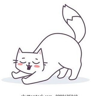 Канал   Мемы котиков ≽^•⩊•^≼