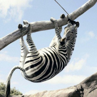 Канал   Интересности рядом