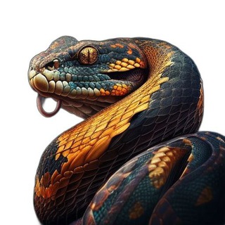 Канал Python for you