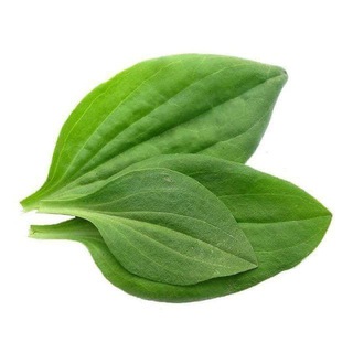 Канал   лидер мнений среди удобрений