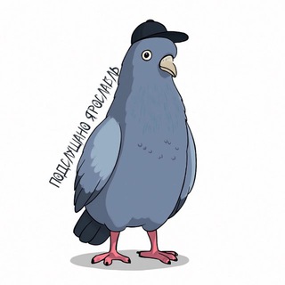 Канал   Подслушано Ярославль