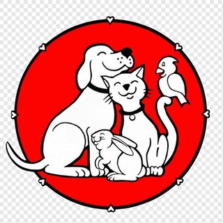 Канал   Говорим о животных