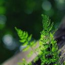 Канал Жизнь без химии — это просто