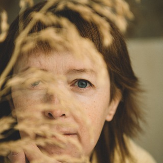 Канал   Самость котика