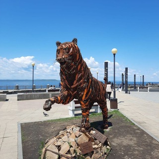 Канал   Love my ВладивостОК