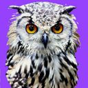 Канал МУДРЫЕ МЫСЛИ