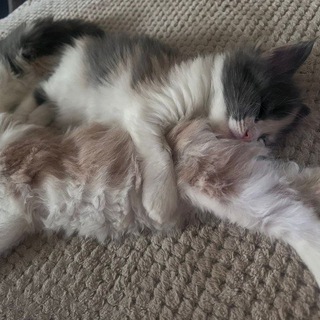 Канал   💓WB НАХОДКИ | ВБ КОРМИТ | СКИДКИ