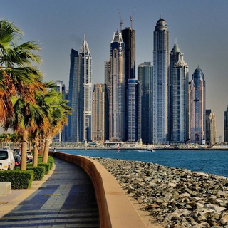 Канал   Мой канал PRO Дубай